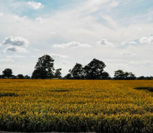 生産者情報更新しました