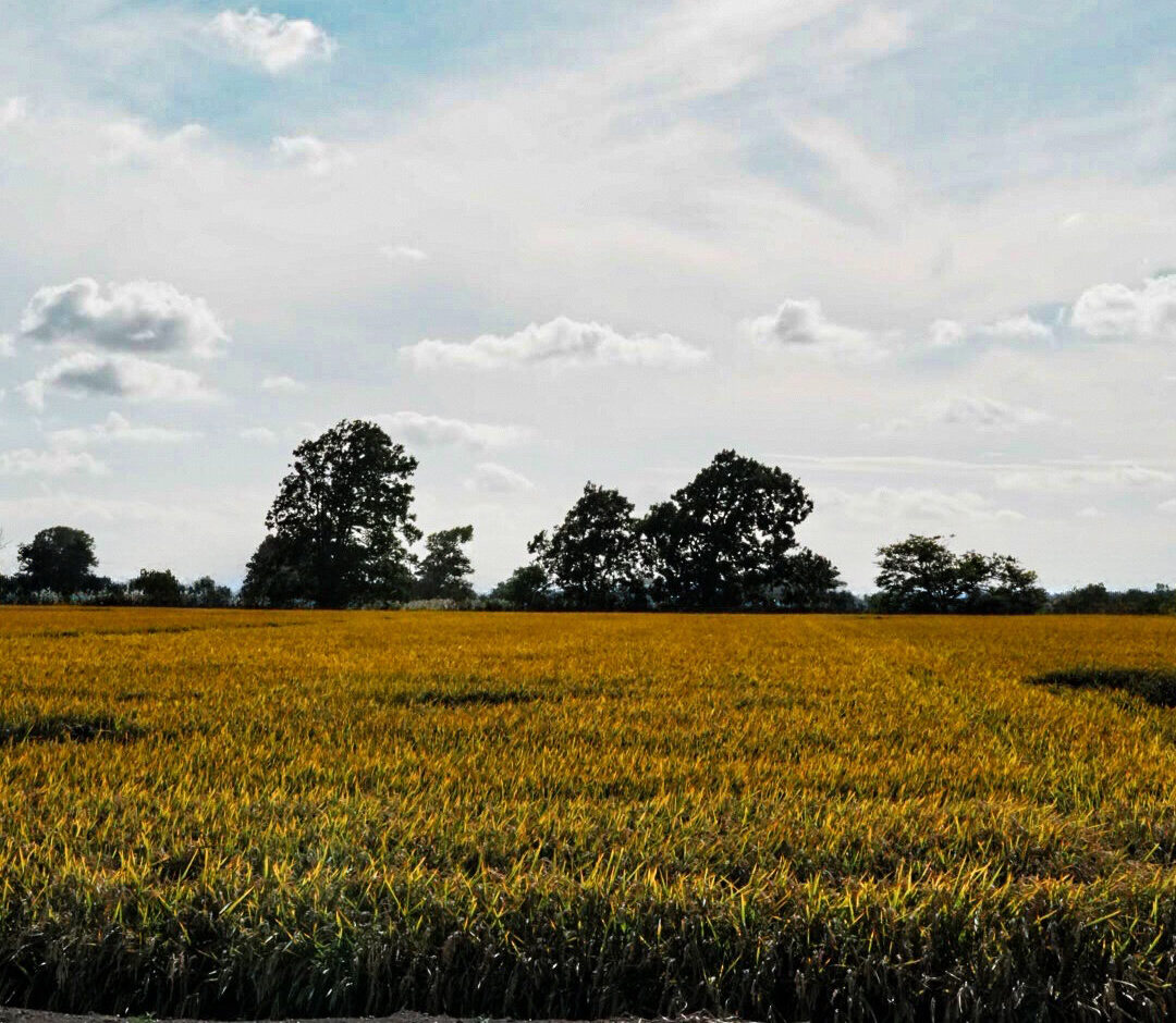 生産者情報更新しました 写真