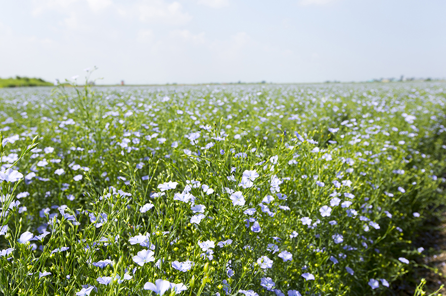 有限会社大塚農場ギャラリー