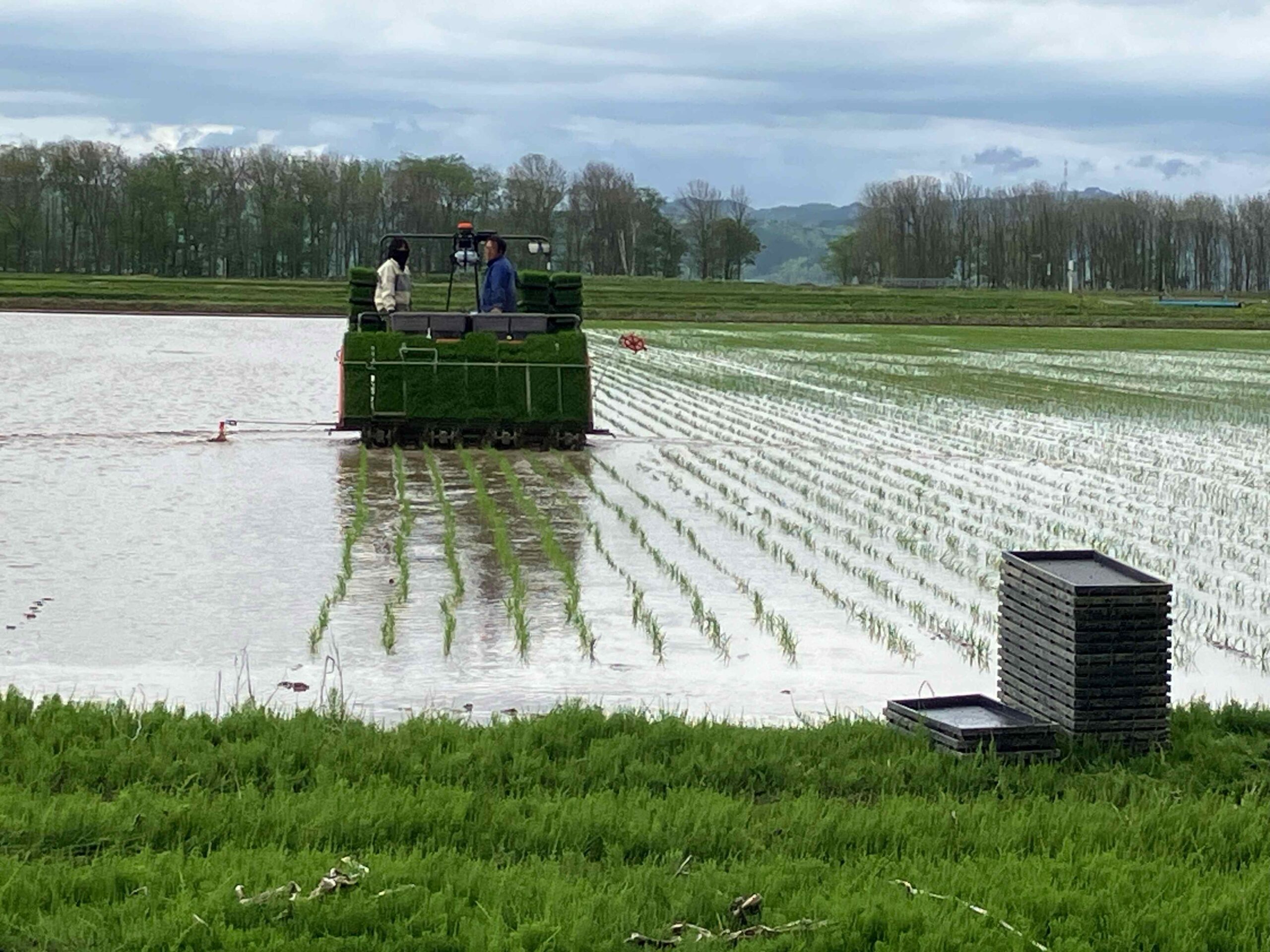 有限会社大塚農場ギャラリー