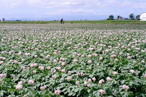有限会社大塚農場ギャラリー