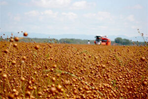 生産者情報更新いたしました。