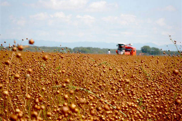 生産者情報更新いたしました。 写真